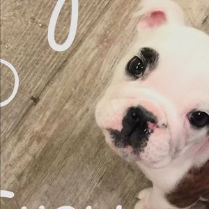 Meet your Posher, Deborah